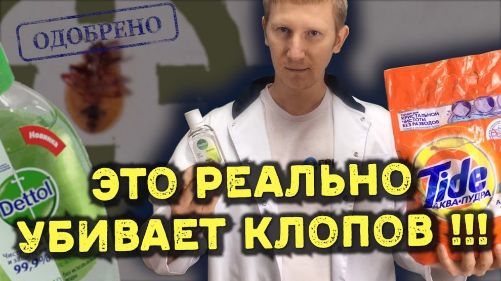 Эффективные способы быстрого избавления от клопов в доме